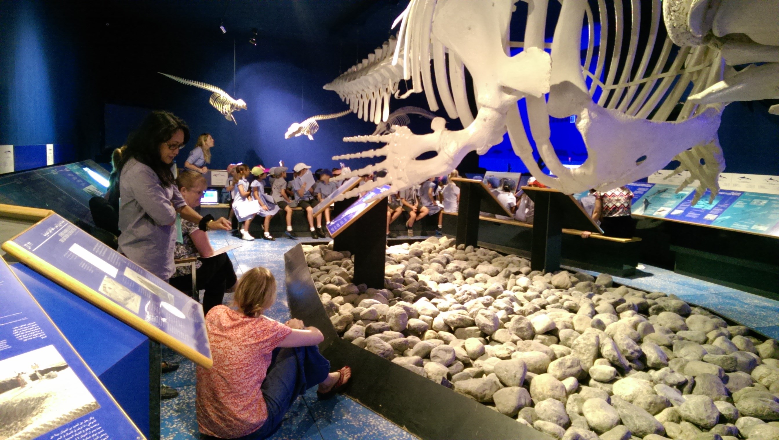 Explore Muscat: Cultural Highlights & Evening Cruise