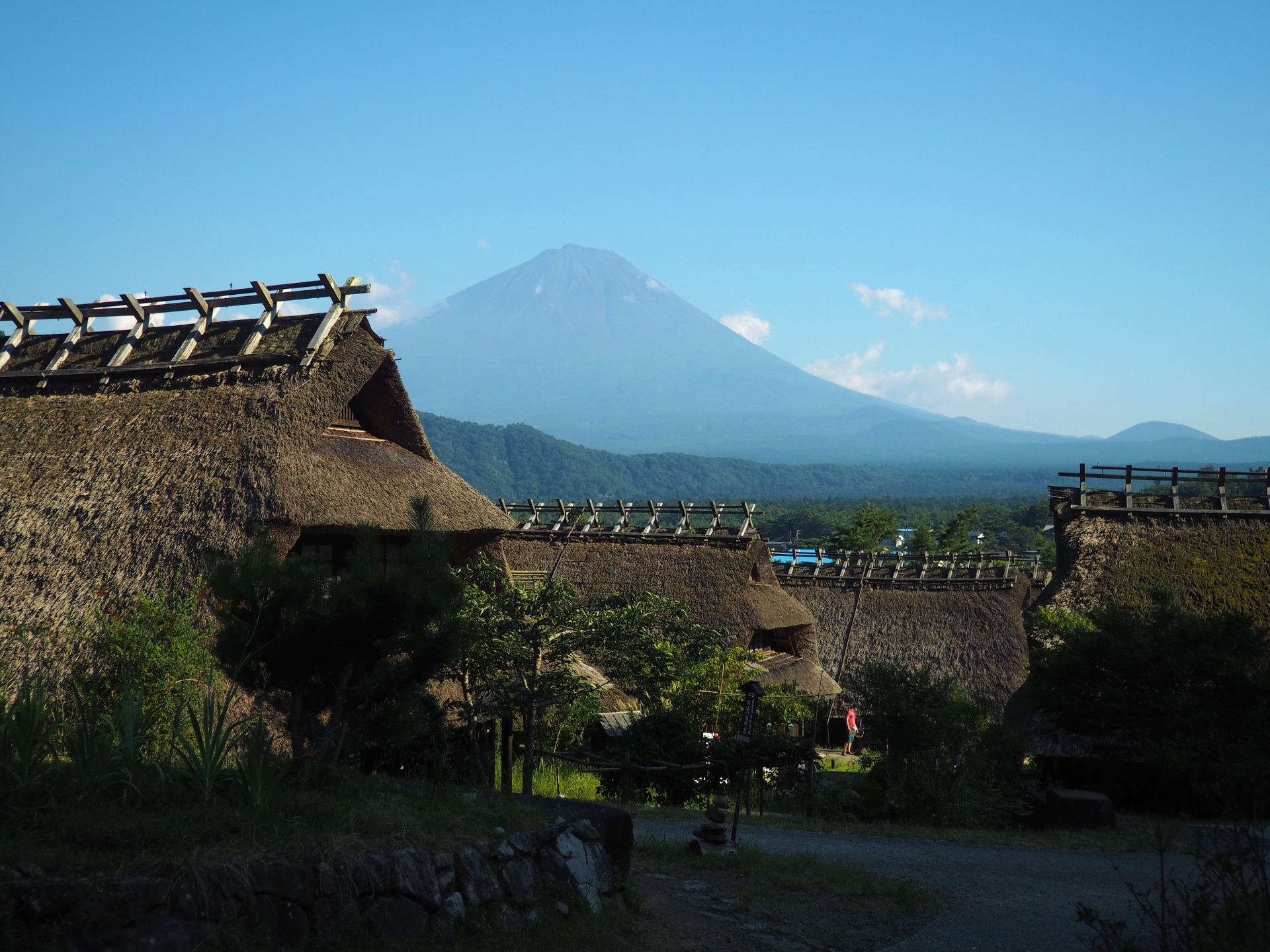 高級版富士山河口湖絕景一日遊！坐豪華巴士巡遊多個拍攝點，從不同角度欣賞令人震撼的富士山美景！包含神戶牛涮涮鍋（品川/新宿出發）