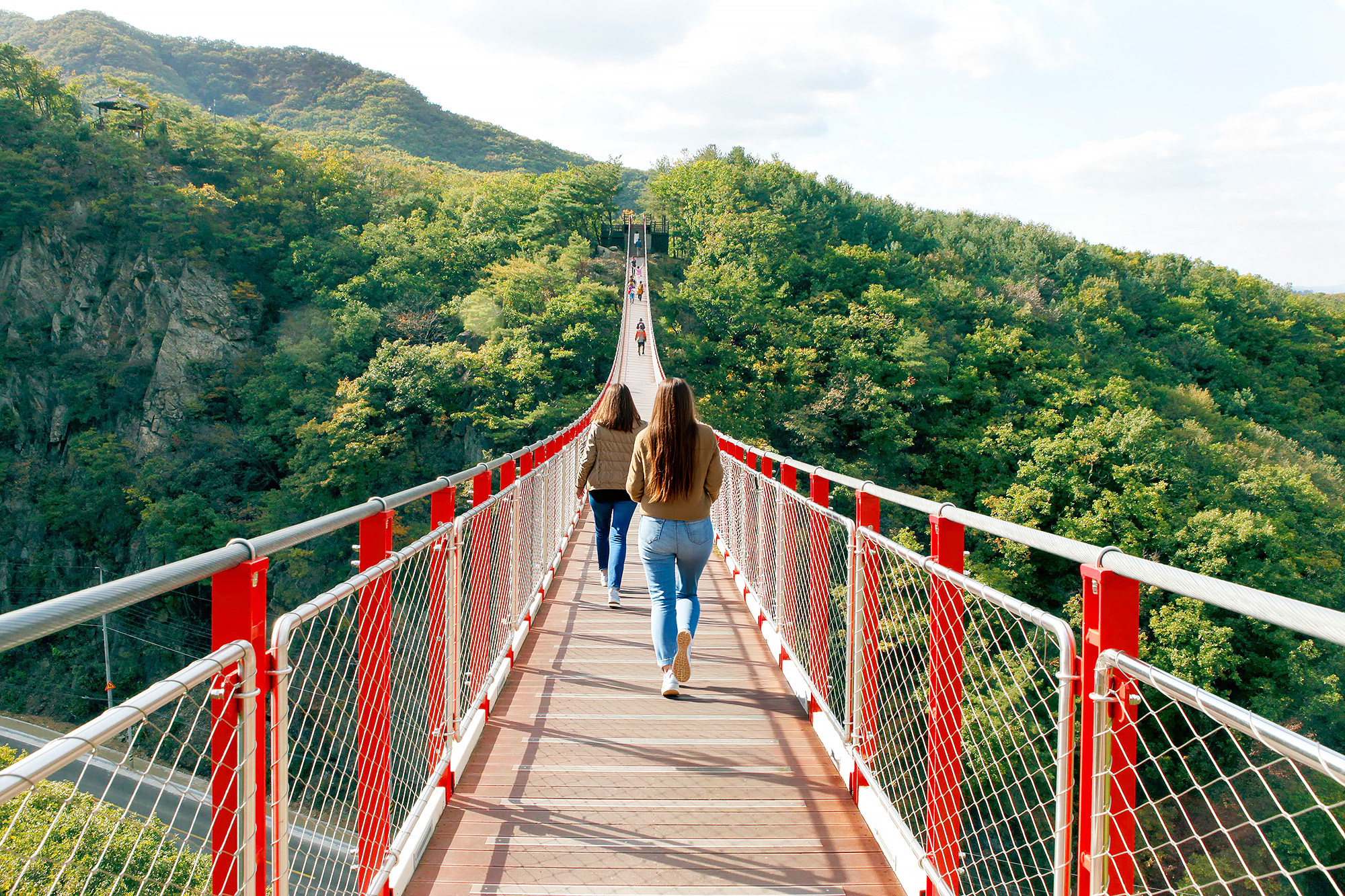 ⛰️ 春天，駕馬山吊橋在鬱鬱蔥蔥的綠色山谷上方提供驚險刺激的漫步。