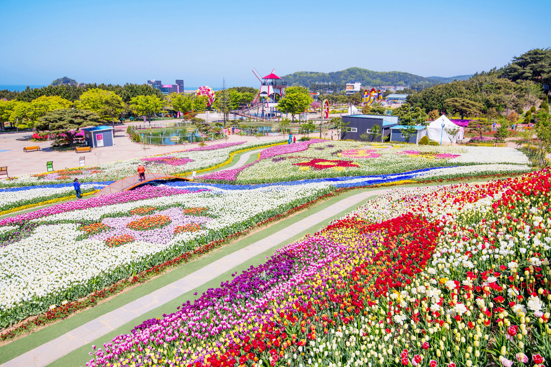 藍天與盛開的田野相互輝映，構成最明亮、最純淨的春日景色。