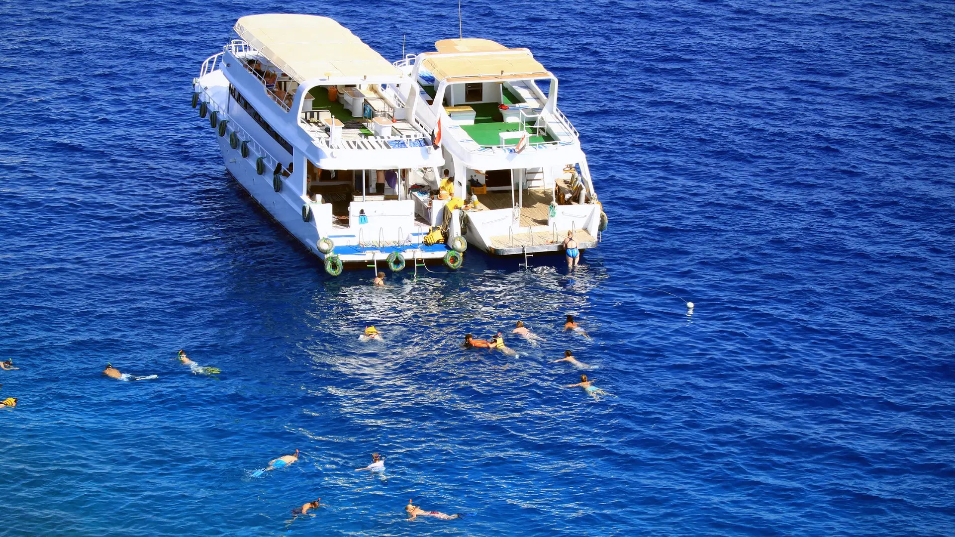 赫爾格達 ：海豚觀賞遊船之旅（含浮潛和午餐）