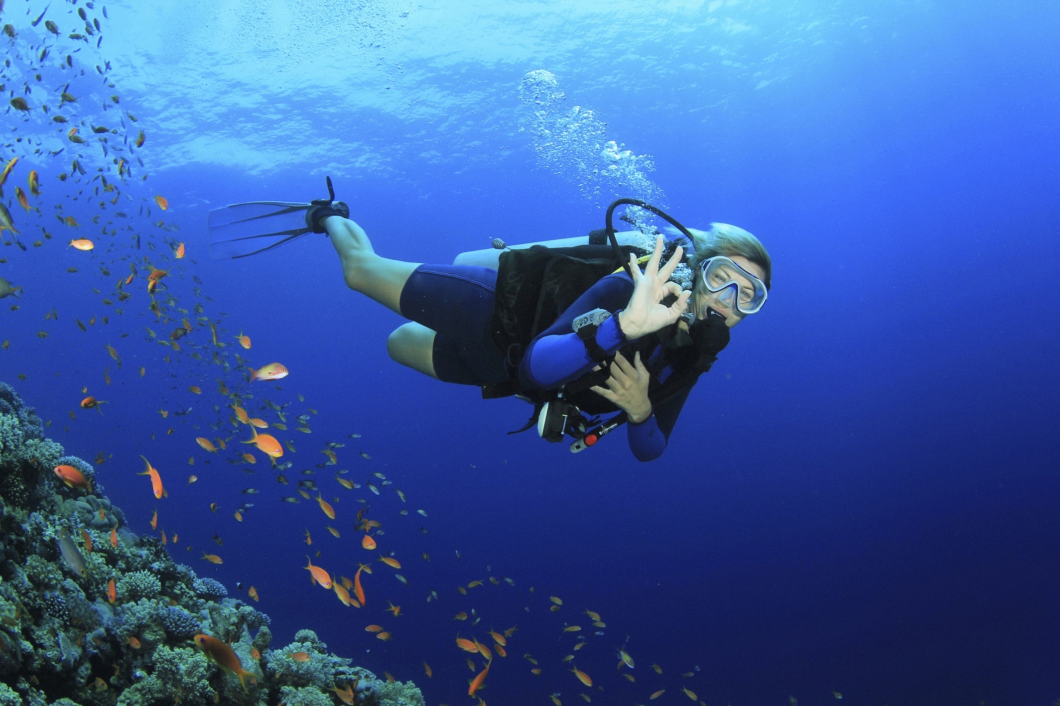 Scuba Diving Experience for Beginners & Lunch - Sharm El Sheikh