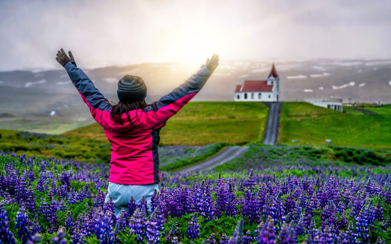 Reykjavik Snaefellsnes Full-Day Guided Tour with Chinese Guide