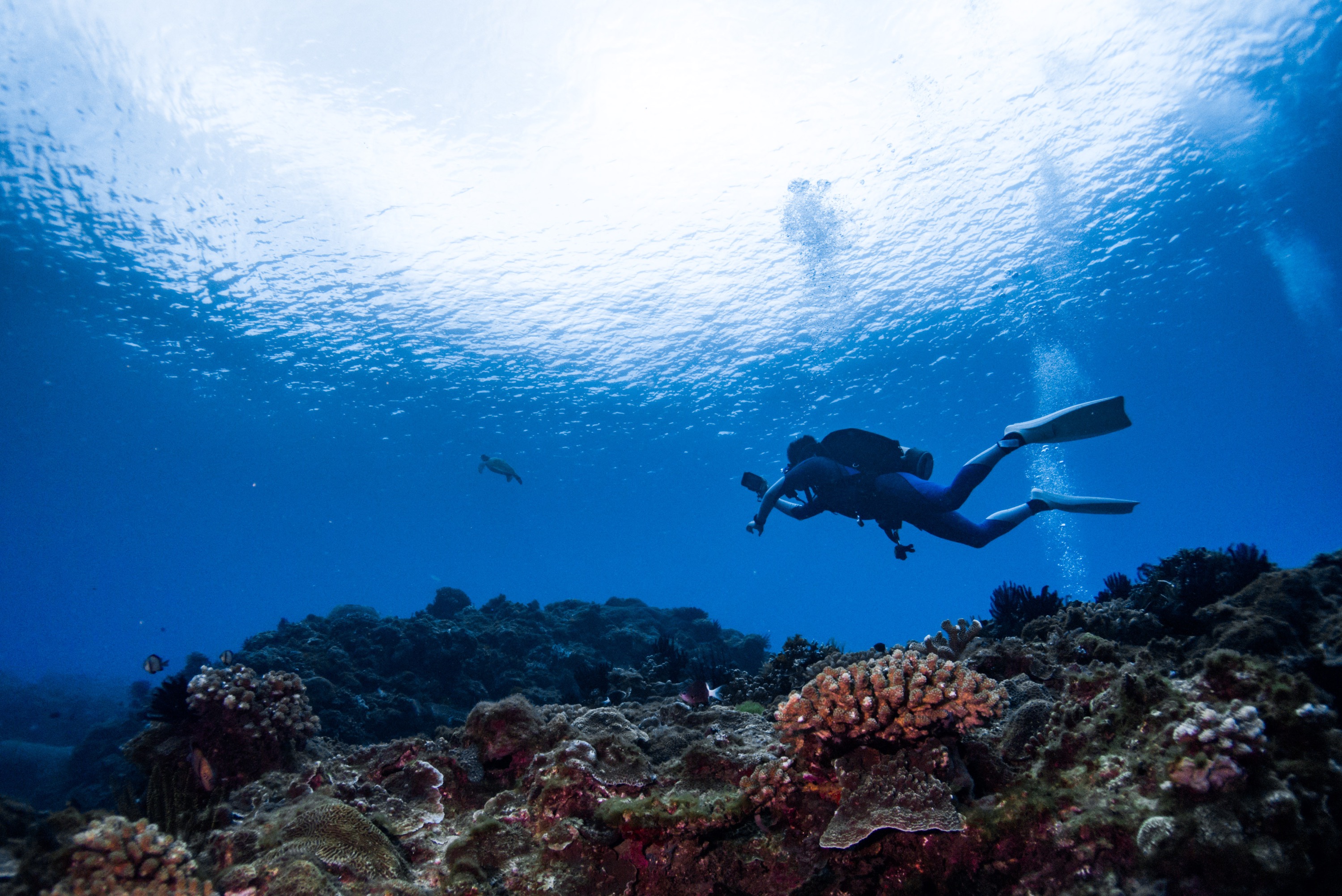 Discover scuba diving, Fun diving and Diving courses in Kenting