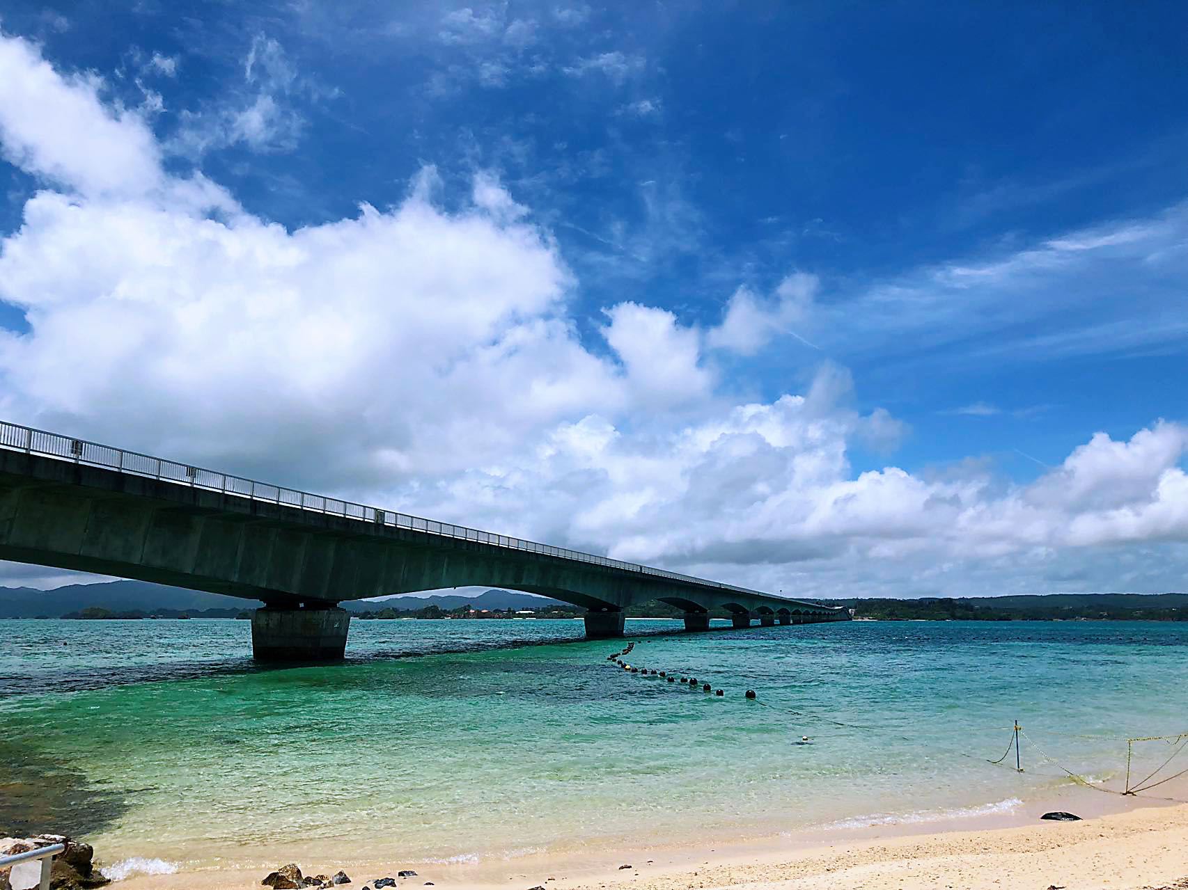 [Okinawa] Okinawa Churaumi Aquarium & American Village Tour from Naha ...