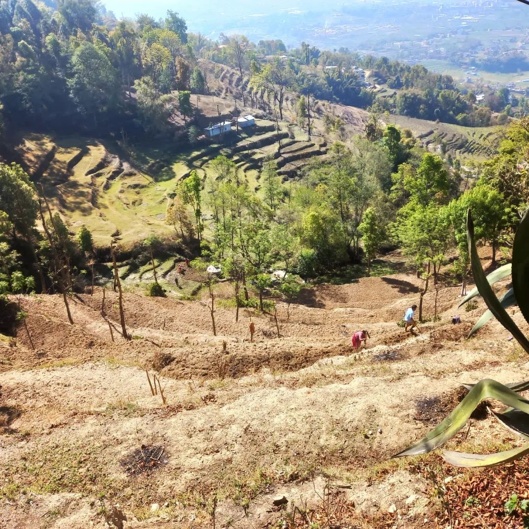 1天納加闊特徒步旅行。納加闊特（Nagarkot）位於巴克塔普爾（Bhaktapur）區