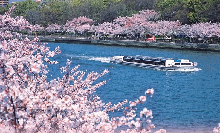 大阪景點徒步導覽一日遊（京都往返）