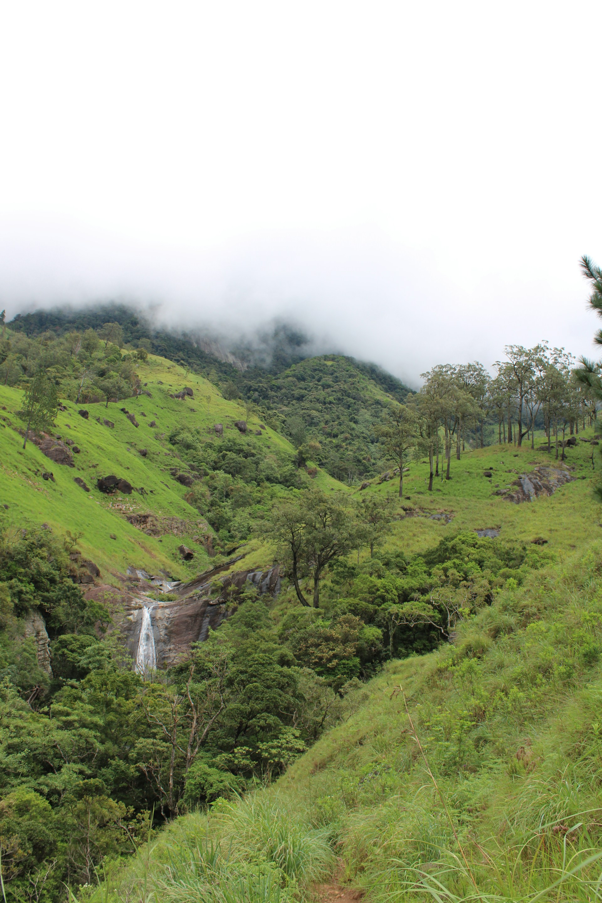 Waterfall Hunting- Bambarakanda Falls and Lanka Ella Falls 