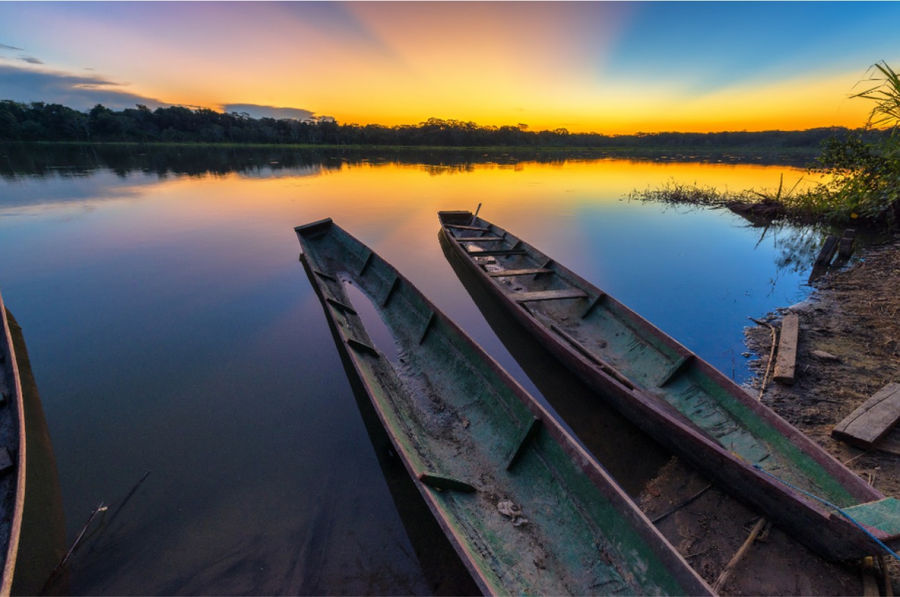 Manu Biosphere Reserve and Macaw Clay Lick 8 Days