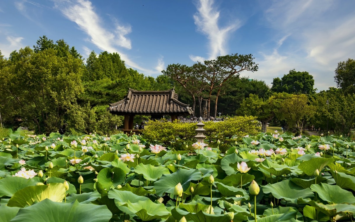 Semiwon Garden Yongmunsa Temple Full-Day Nature Tour