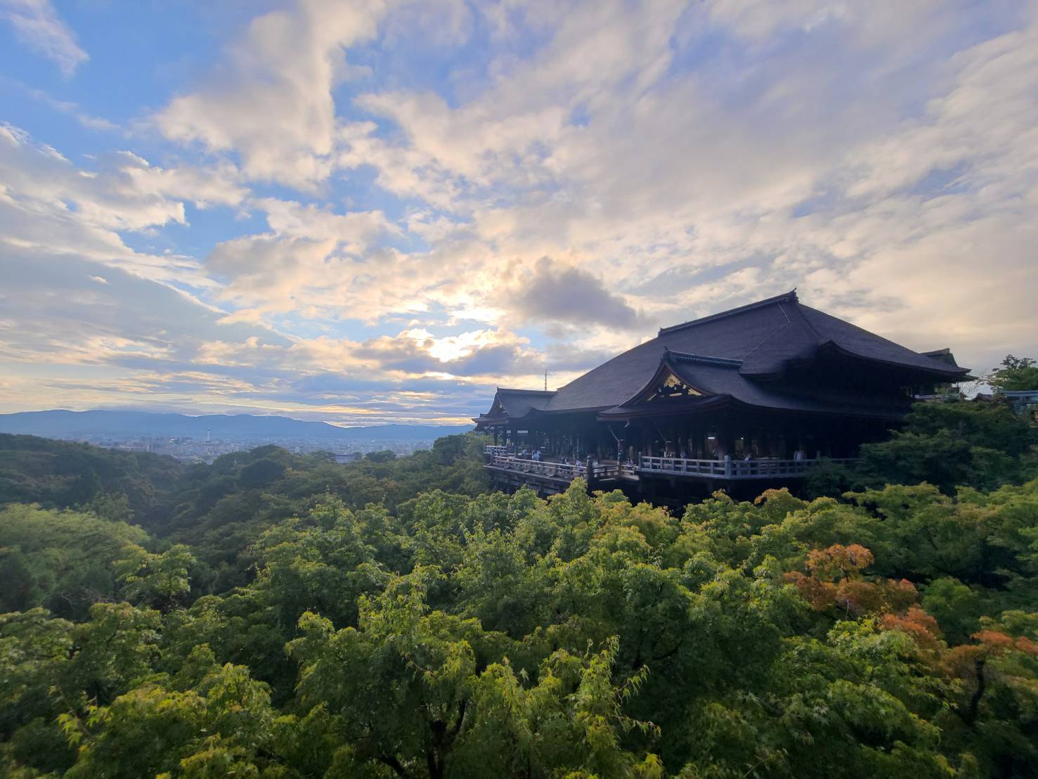Kyoto Cultural Heritage Day Tour｜Kinkaku-ji Temple, Arashiyama, Sanjusangendo Temple, and Kiyomizu-dera Temple｜Optional Kobe Beef Shabu-shabu Lunch (Departing from Osaka and Kyoto)