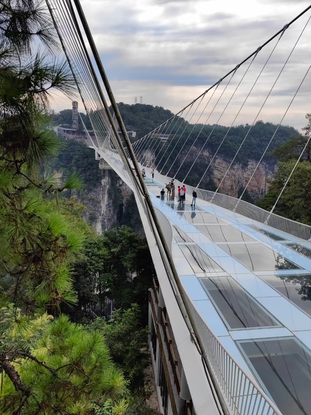 Grand Canyon Glass Bridge Grand Canyon Glass Bridge