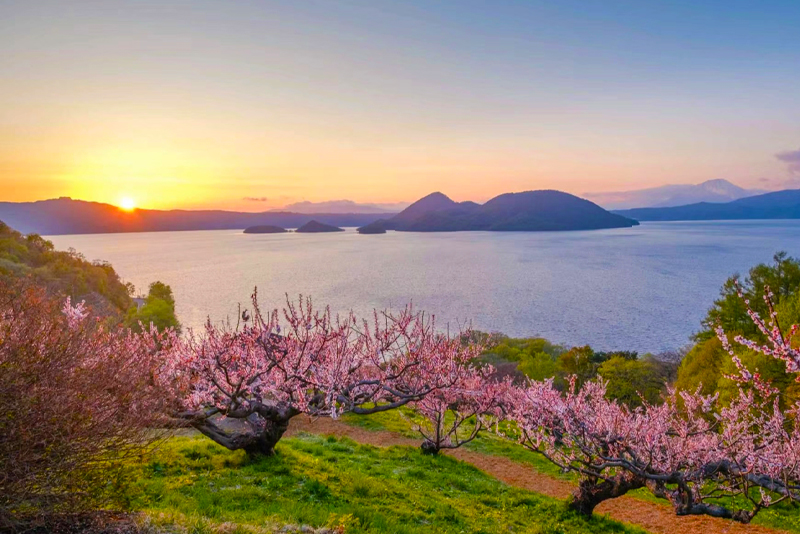 【北海道洞爺湖】洞爺湖&登別地獄谷&熊牧場或有珠山一日遊