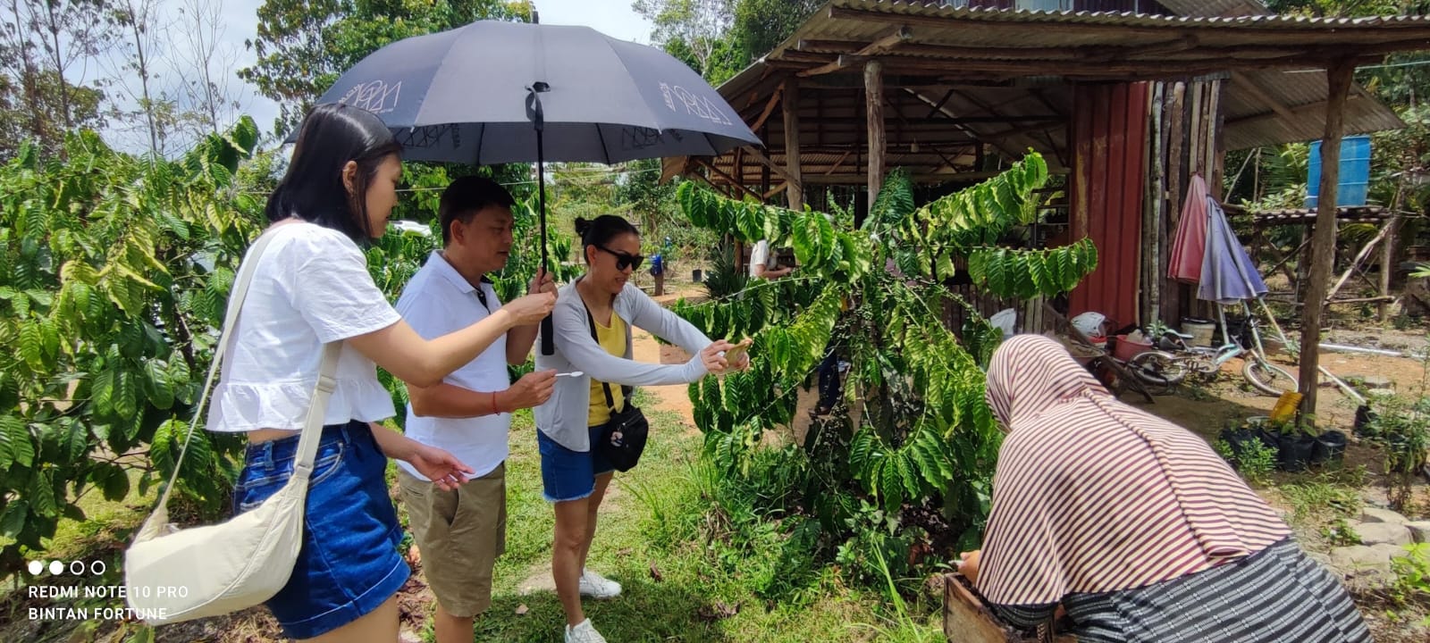 民丹島私人沙丘、藍湖 & 咖啡農場一日遊（Bintan Fortune）