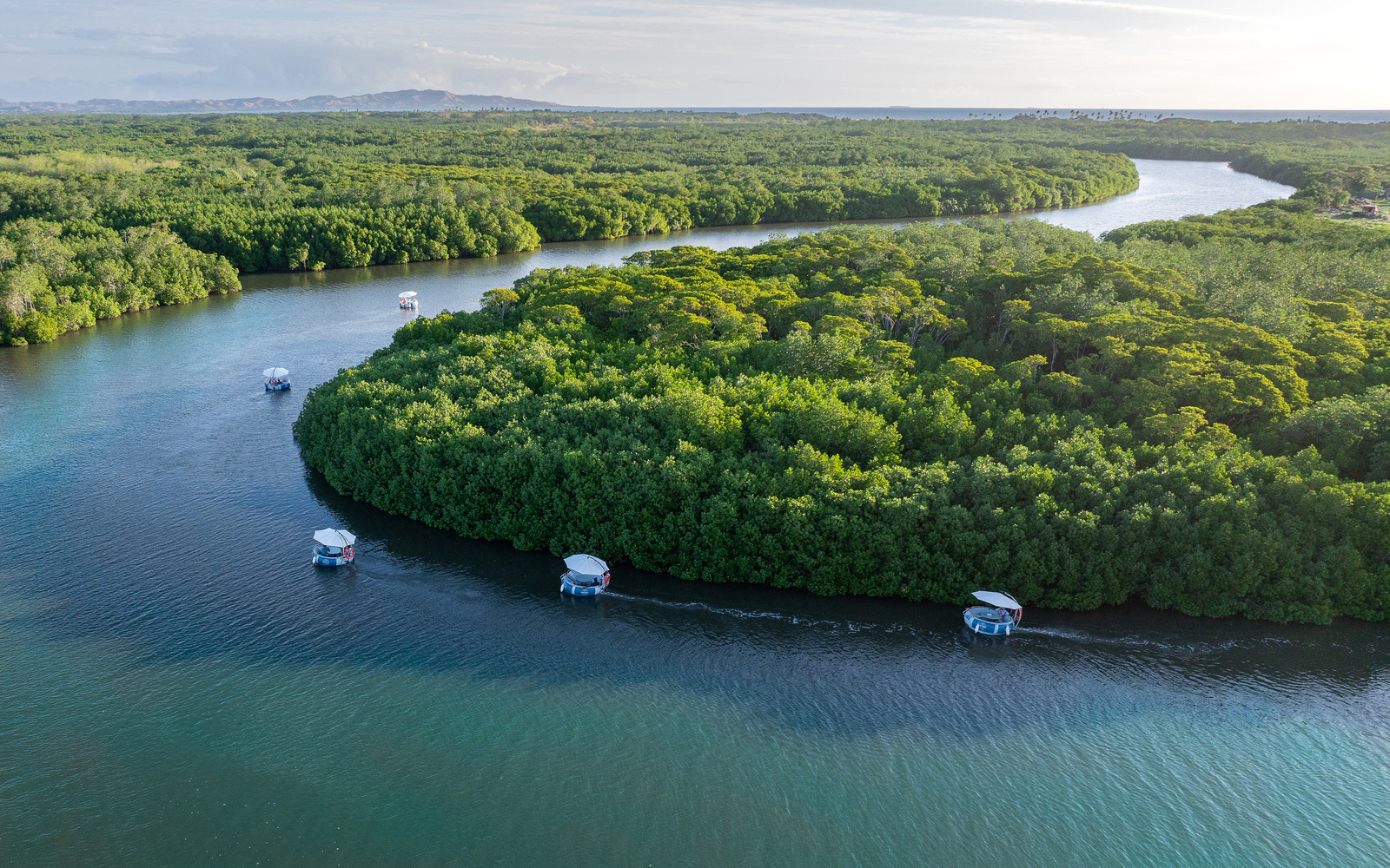 在斐濟 (Fiji) 獨一無二的水上燒烤冒險中，與家人朋友一同創造難忘回憶