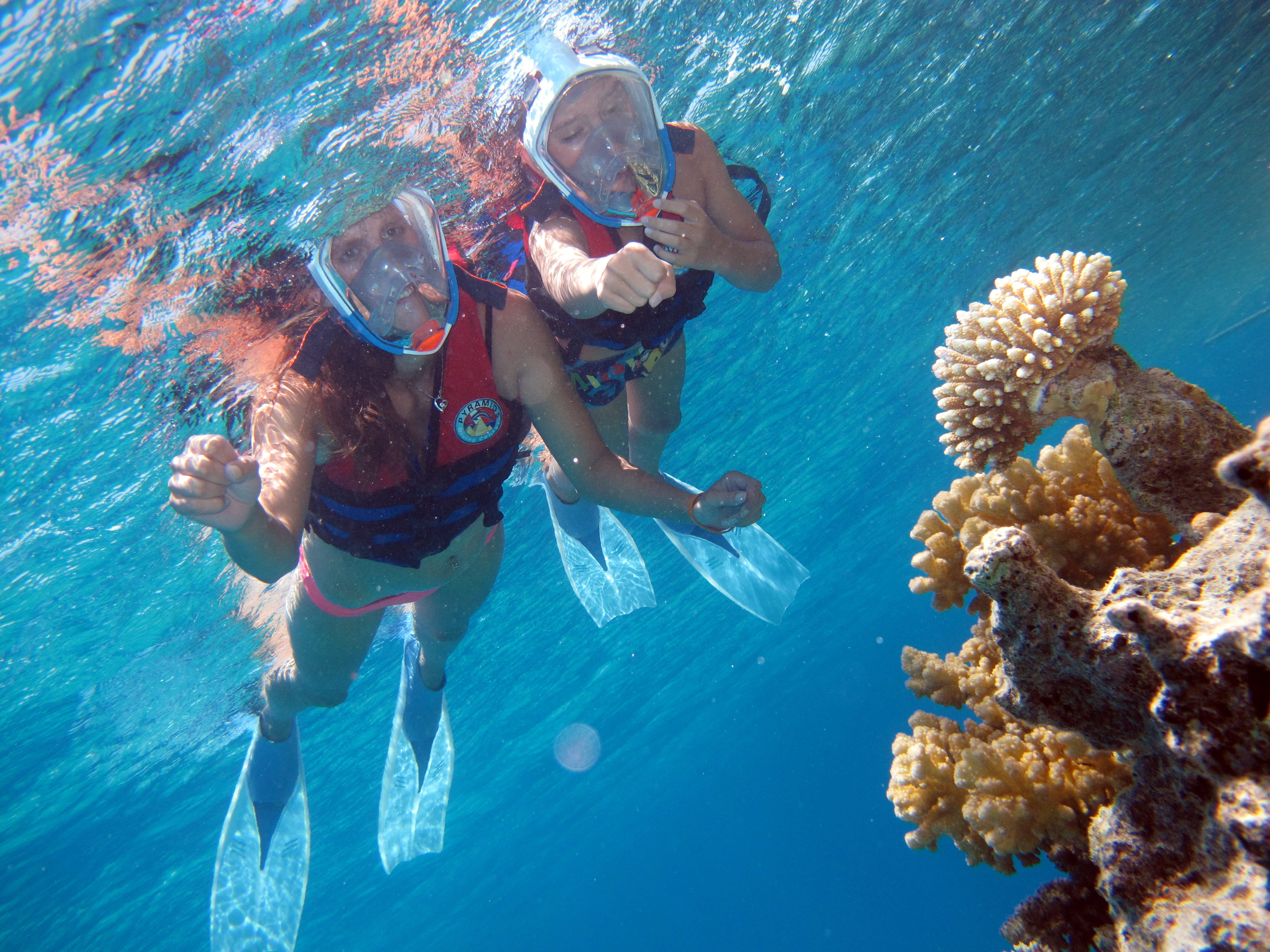 Full day Ras Mohamed Coral Reef  Wonders with PADI center