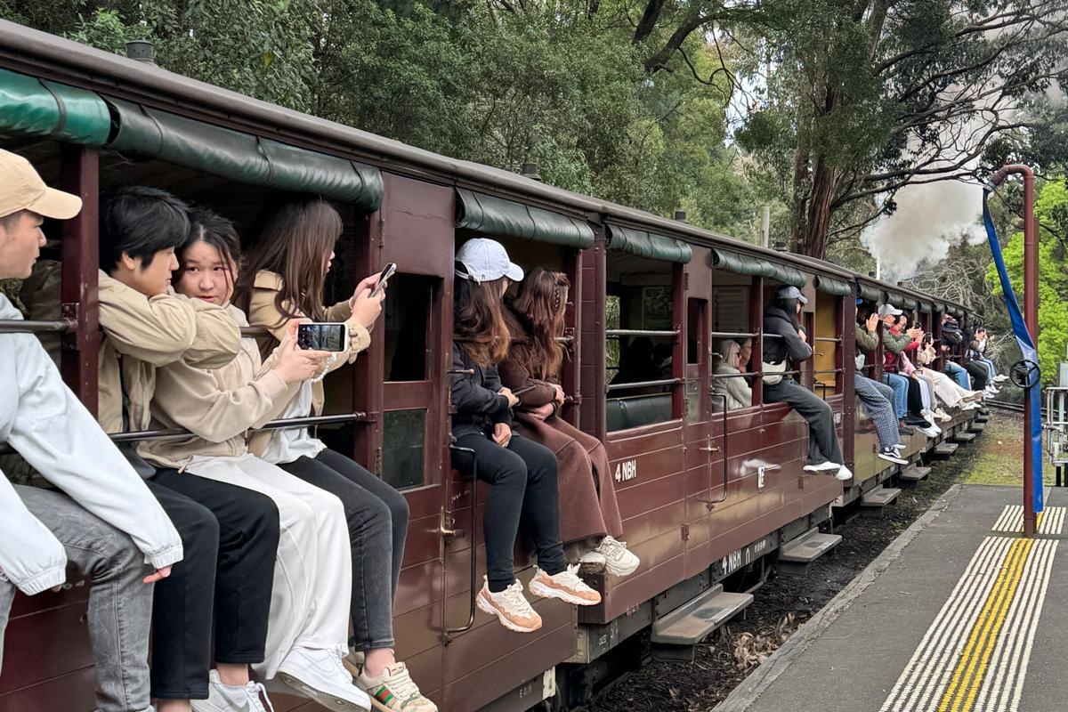 從墨爾本出發的普芬比利蒸汽火車 (Puffing Billy Steam Train) 之旅