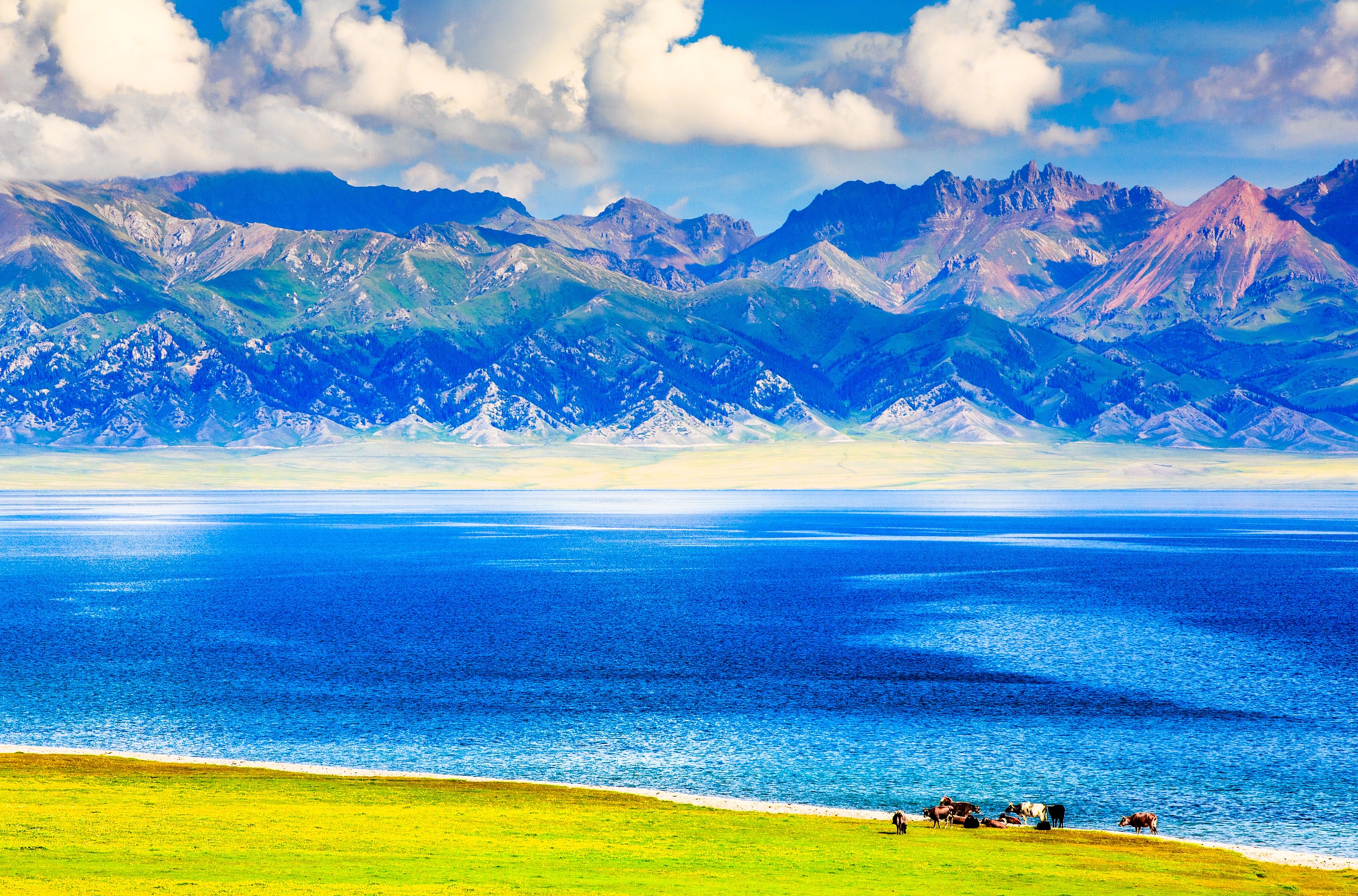 Spring Flower Charm | Xinjiang Sayram Lake + Nalati + Tianchi Lake of Tianshan Mountains + Desert 8-Day Tour | 1+1 First Class Vehicle | Exclusive Tour Guide