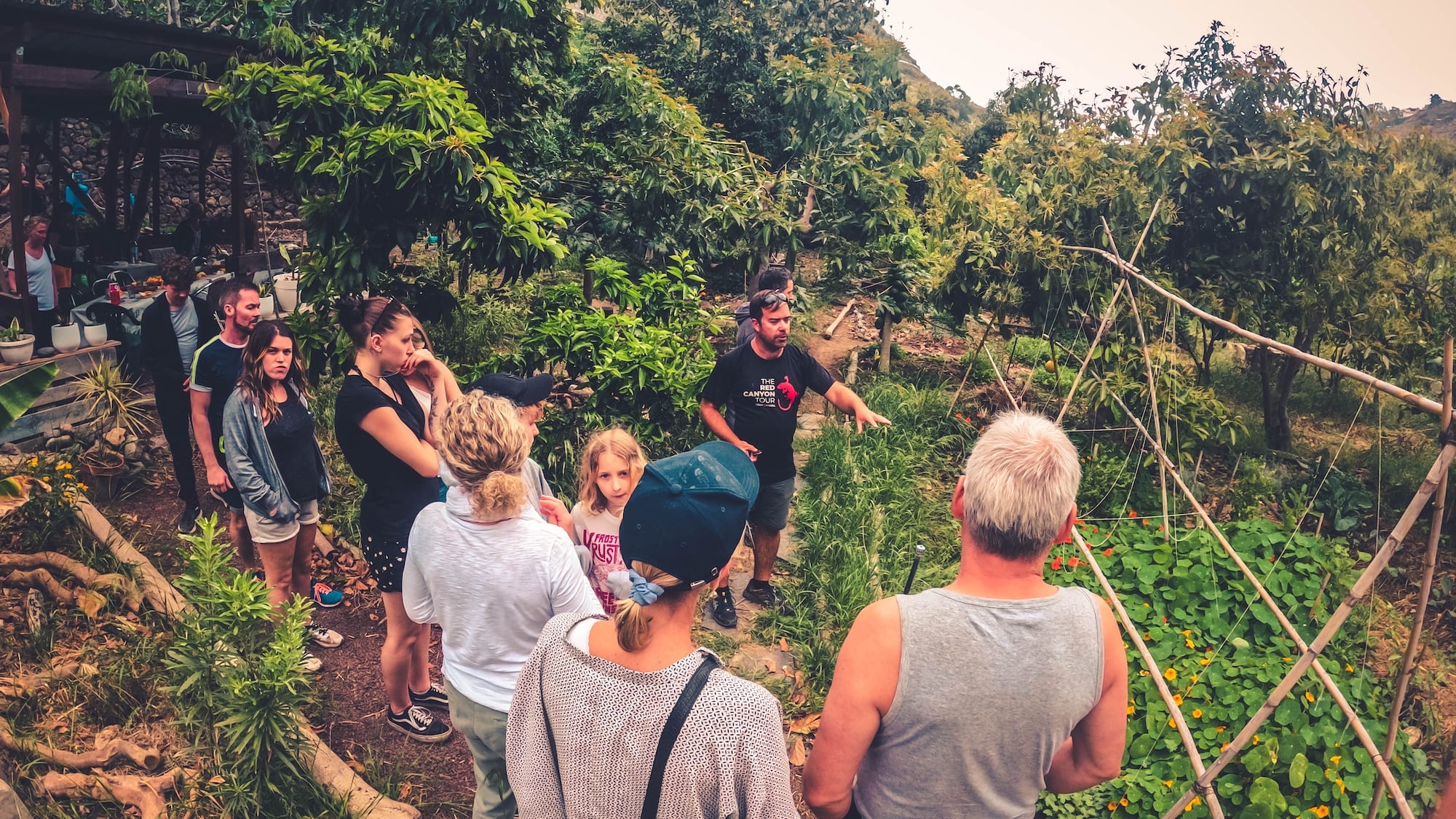 Explore sustainable farming practices at an eco farm, connecting with nature and local agriculture