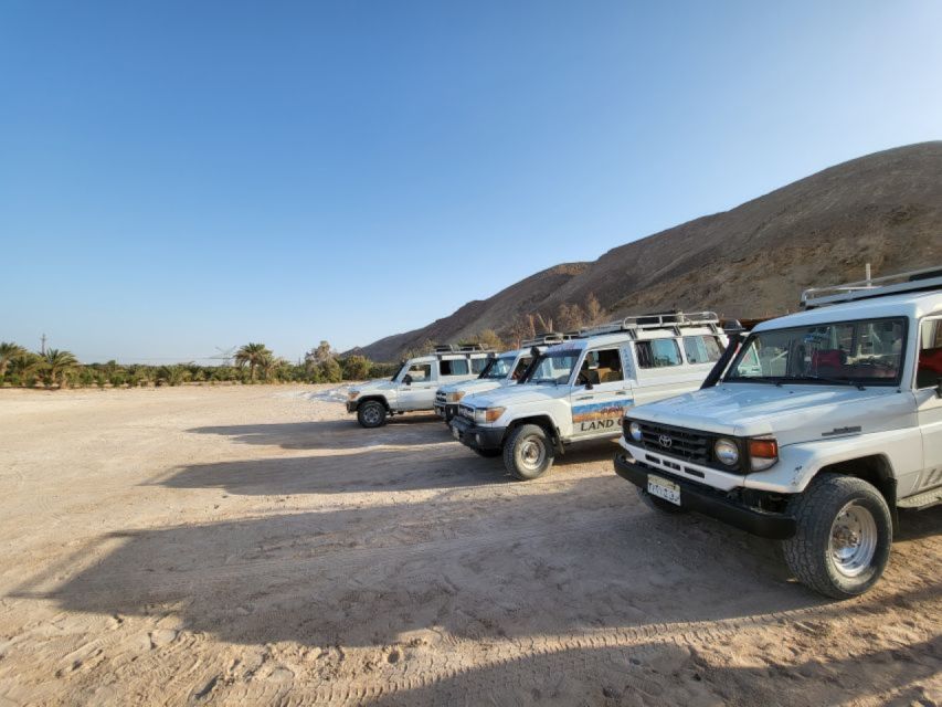 Sahl Hasheesh：四輪車、吉普車、越野車、駱駝（含晚餐和表演）