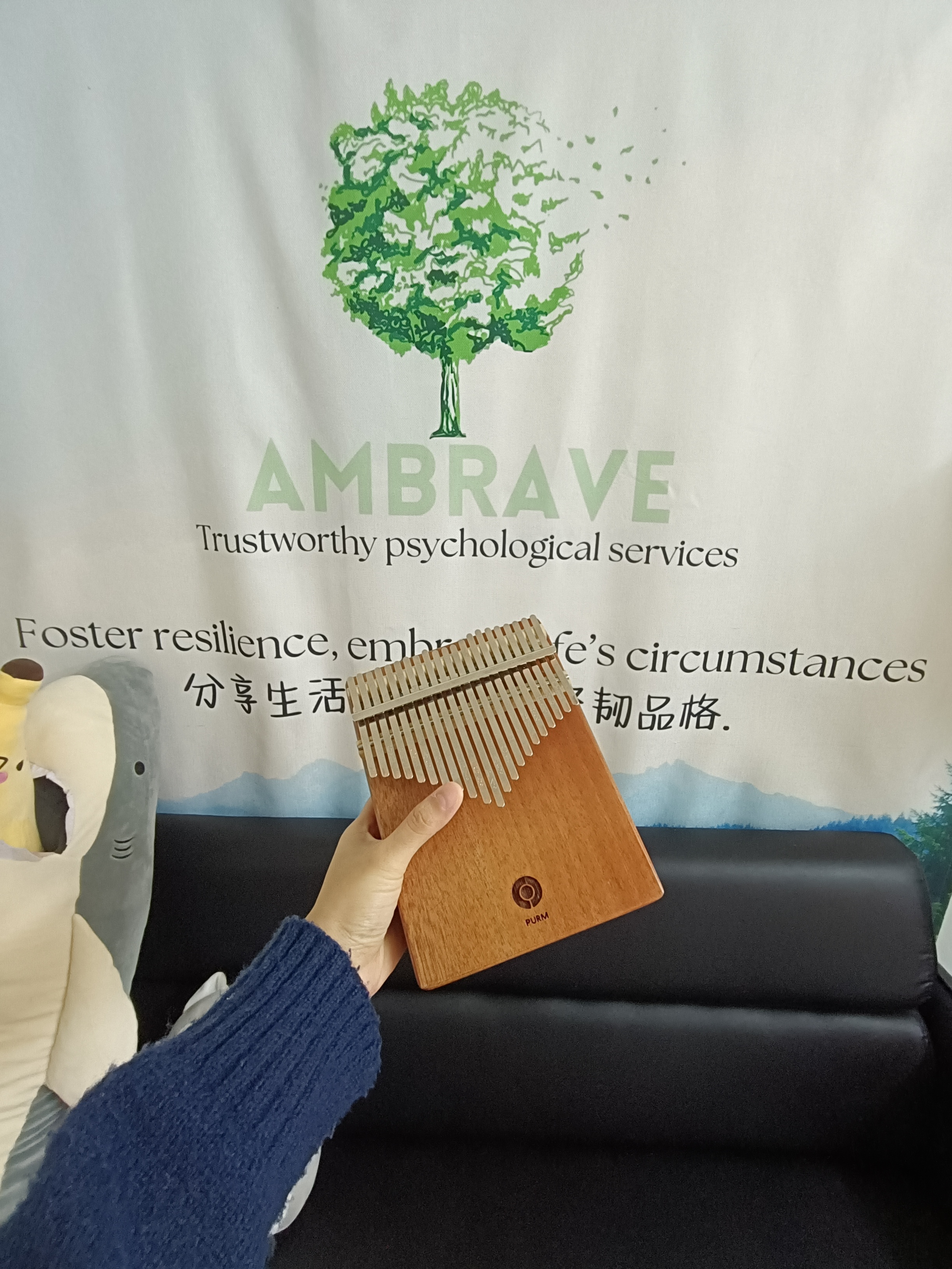 心靈卡林巴：與心理健康專家一起的探索之旅