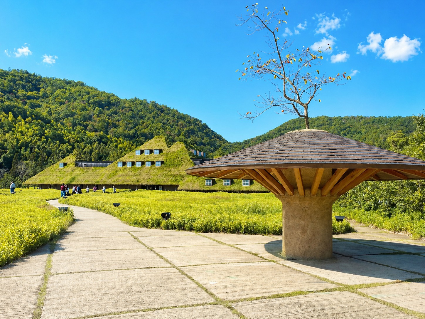 草根屋頂下的童話與甜點森林，由著名建築師藤森照信設計，將知名甜點品牌「たねや（Taneya）」與「Club Harie」融入自然景觀中。