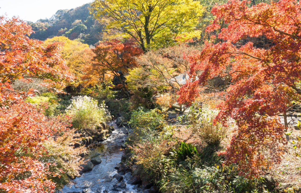 西洋園區再現了17世紀的英國鄉村，而日式園區則展現伊豆當地風情