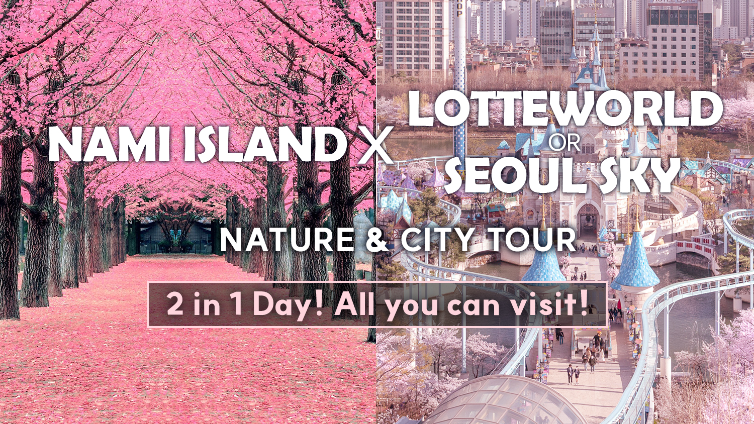 Nami Island and Lotte world (or Seoul) Sky Day Tour