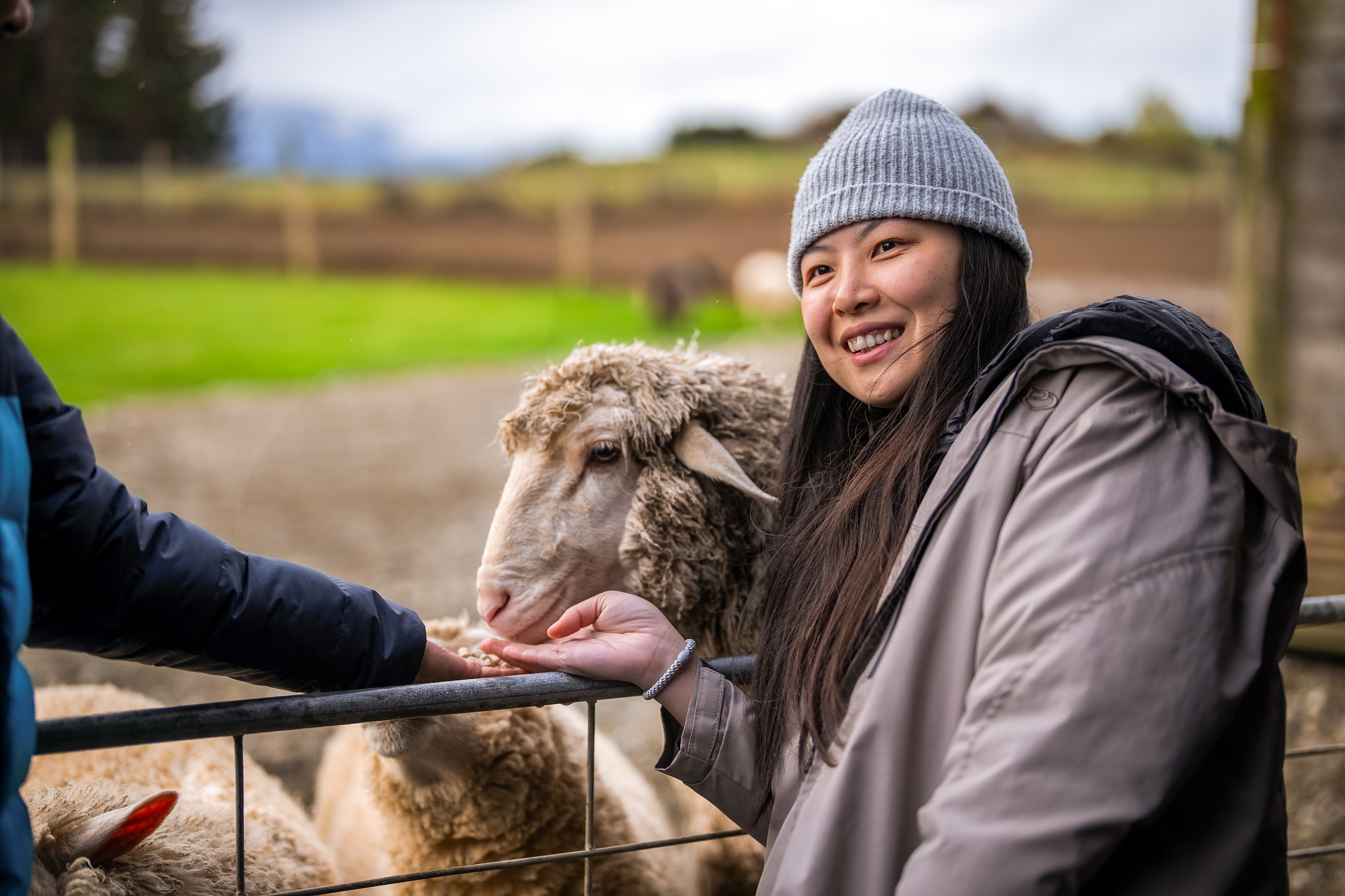 Milford Sound Coach and Cruise from Queenstown with Farm Tour