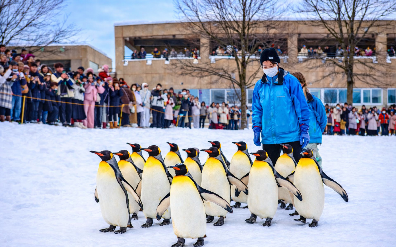 Hokkaido Classic Popular Day Tour & Hokkaido Winter Fun Day Tour