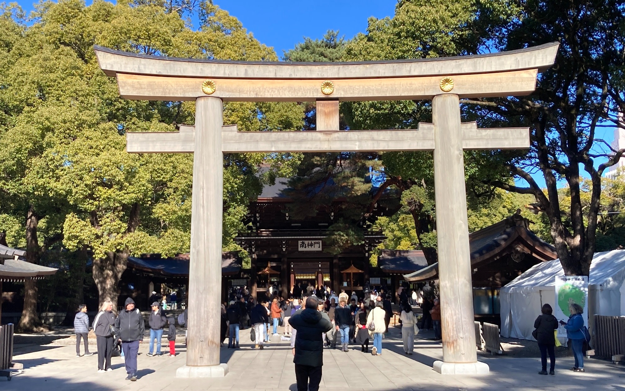 Tokyo: Meiji Jingu Historical Walk and Food Tasting Tour