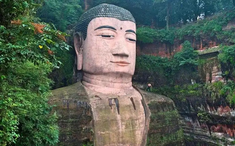 成都熊貓基地 樂山大佛 私人團一日遊