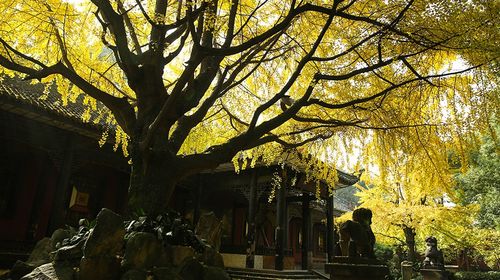 武侯祠