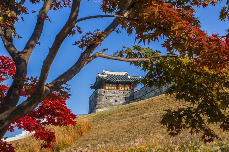 Suwon's Diverse History and Drama Private Tour From Seoul