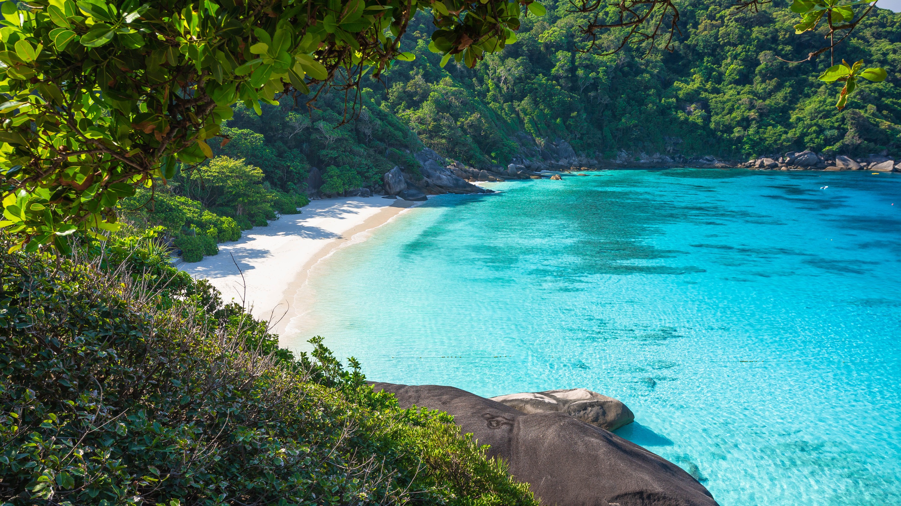 Similan Islands Day Trip by Speedboat