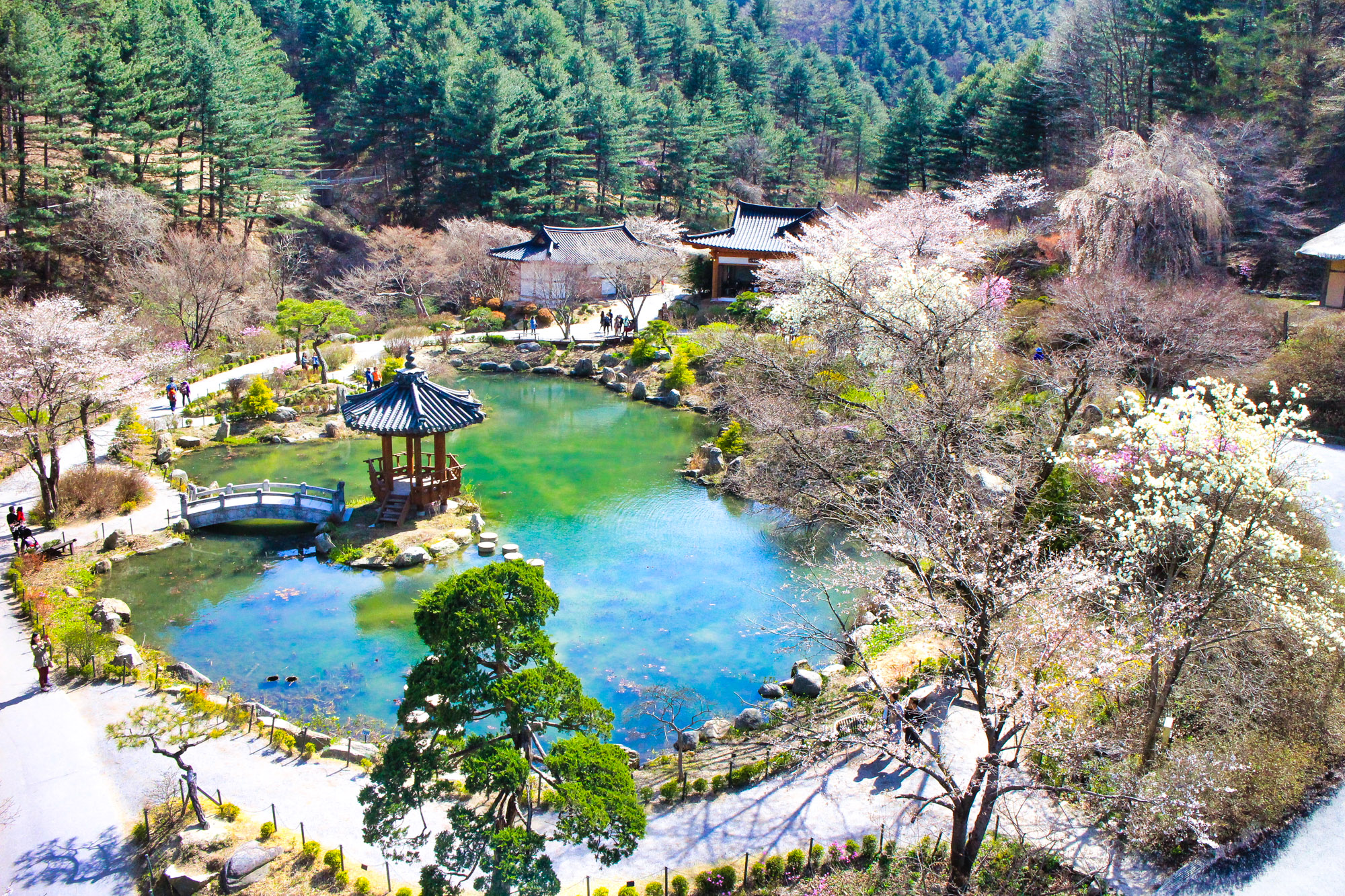 The Garden of Morning Calm is a premier arboretum in Gyeonggi Province, South Korea, offering serene natural beauty and harmonious landscapes