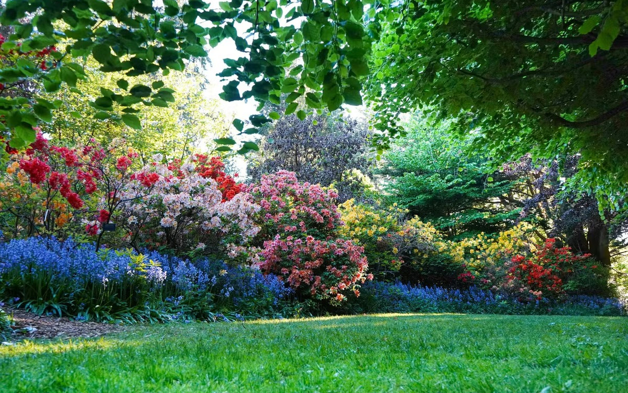盡情享受春日花朵、鬱鬱蔥蔥的綠意和斑駁陽光交織而成的繽紛景致
