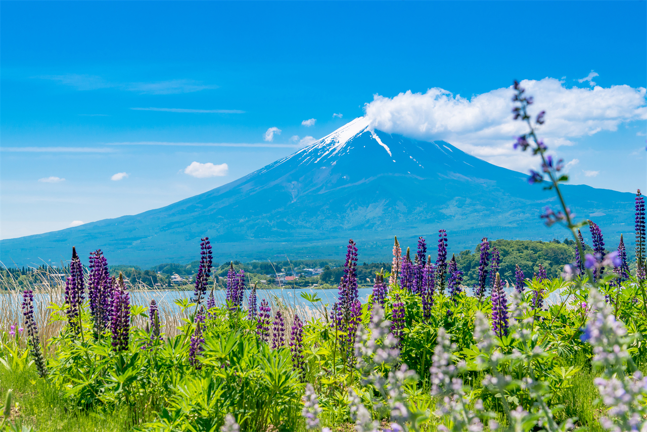 富士山探索之旅-新倉山淺間公園·天梯小鎮·忍野八海·河口湖大石公園·西湖療愈里根場一日遊