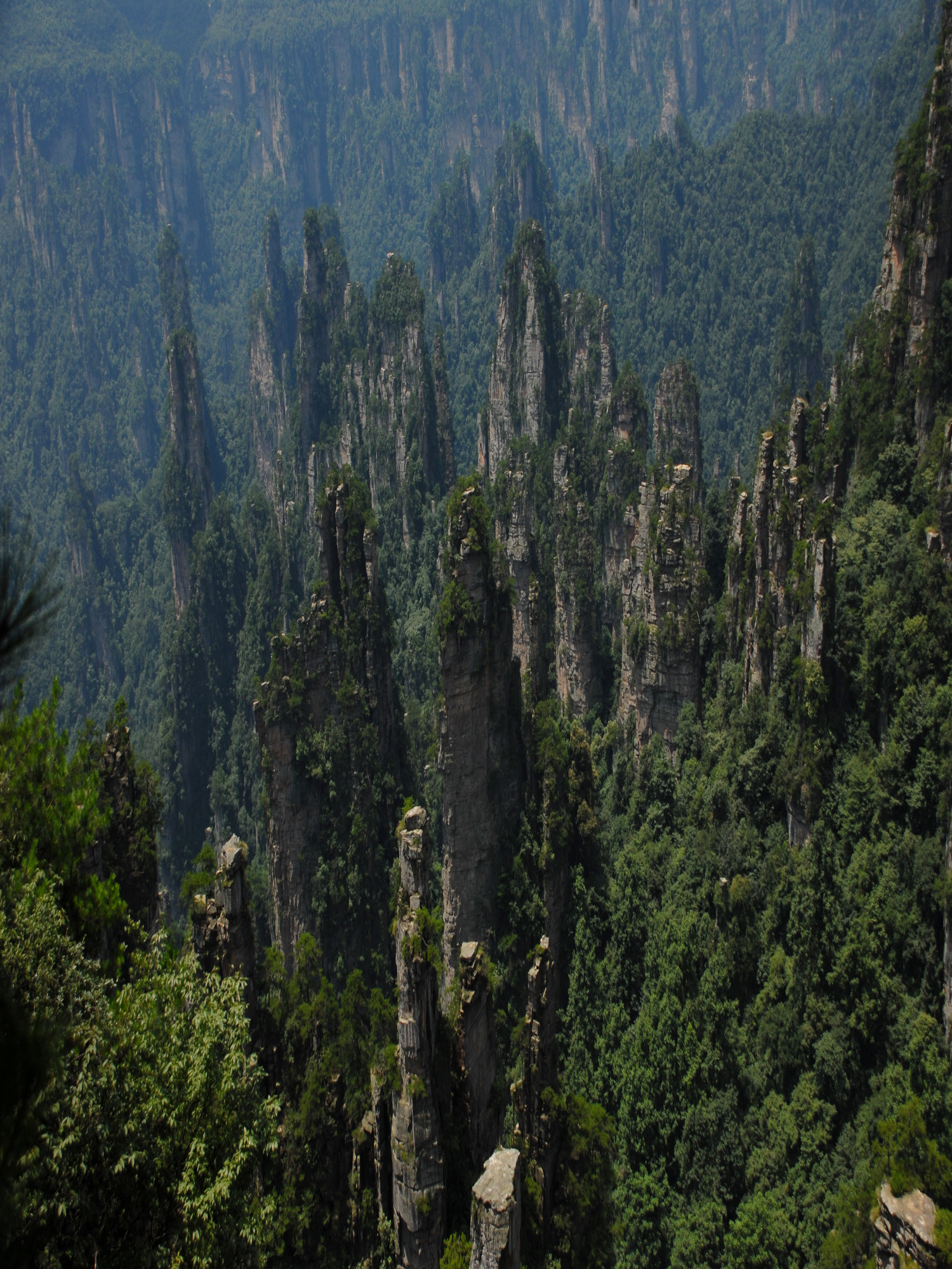 主要景點有：御筆峰、仙女散花、西海石林、賀龍公園