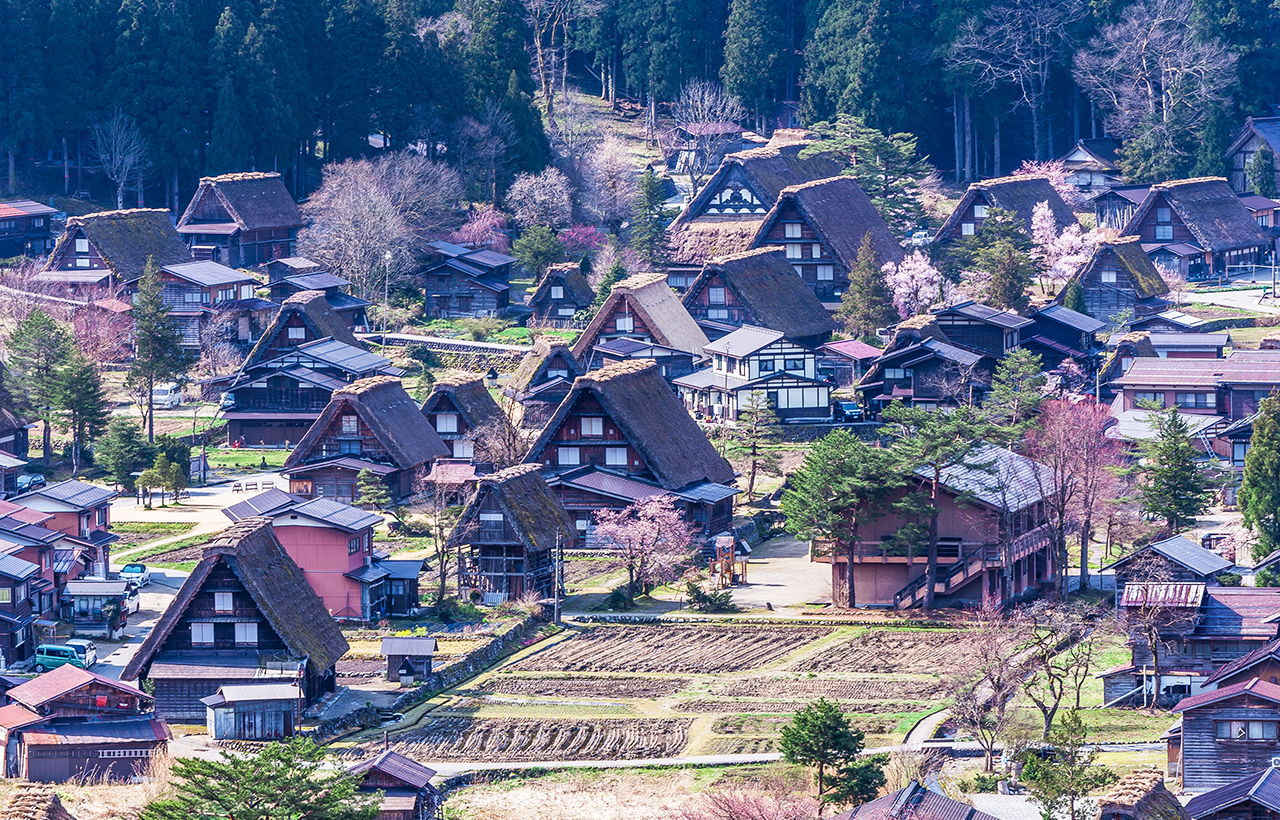 飛驒高山&白川鄉合掌村落&宮川朝市&古街漫步