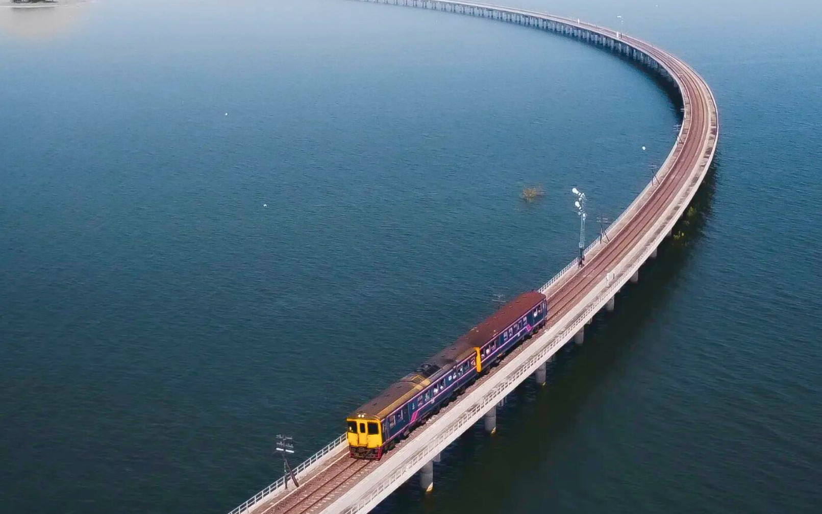 Ayutthaya & Sunflower Field Heritage Private Full-Day Tour