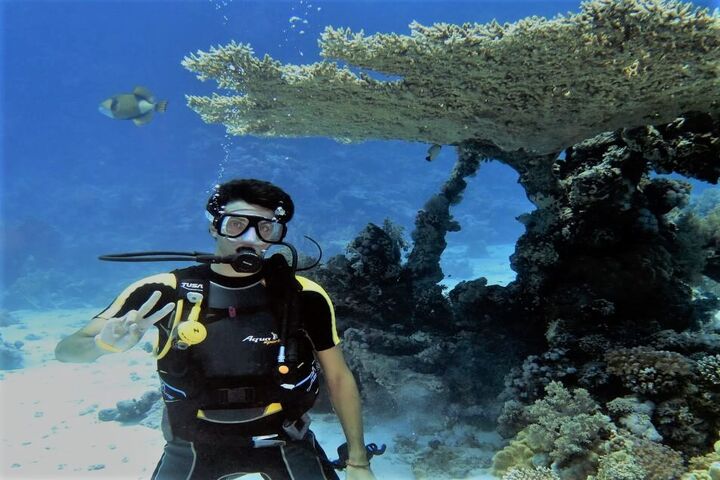 馬薩阿拉姆薩邁代海豚屋水肺潛水一日遊