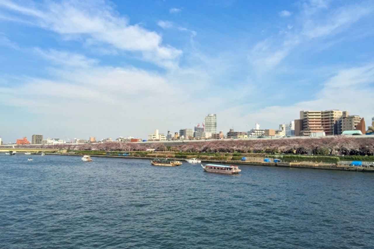 東京櫻花季網田屋形船午餐遊船方案