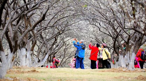 Yunfu | Xinxing Tianlu Mountain Tourist Resort
