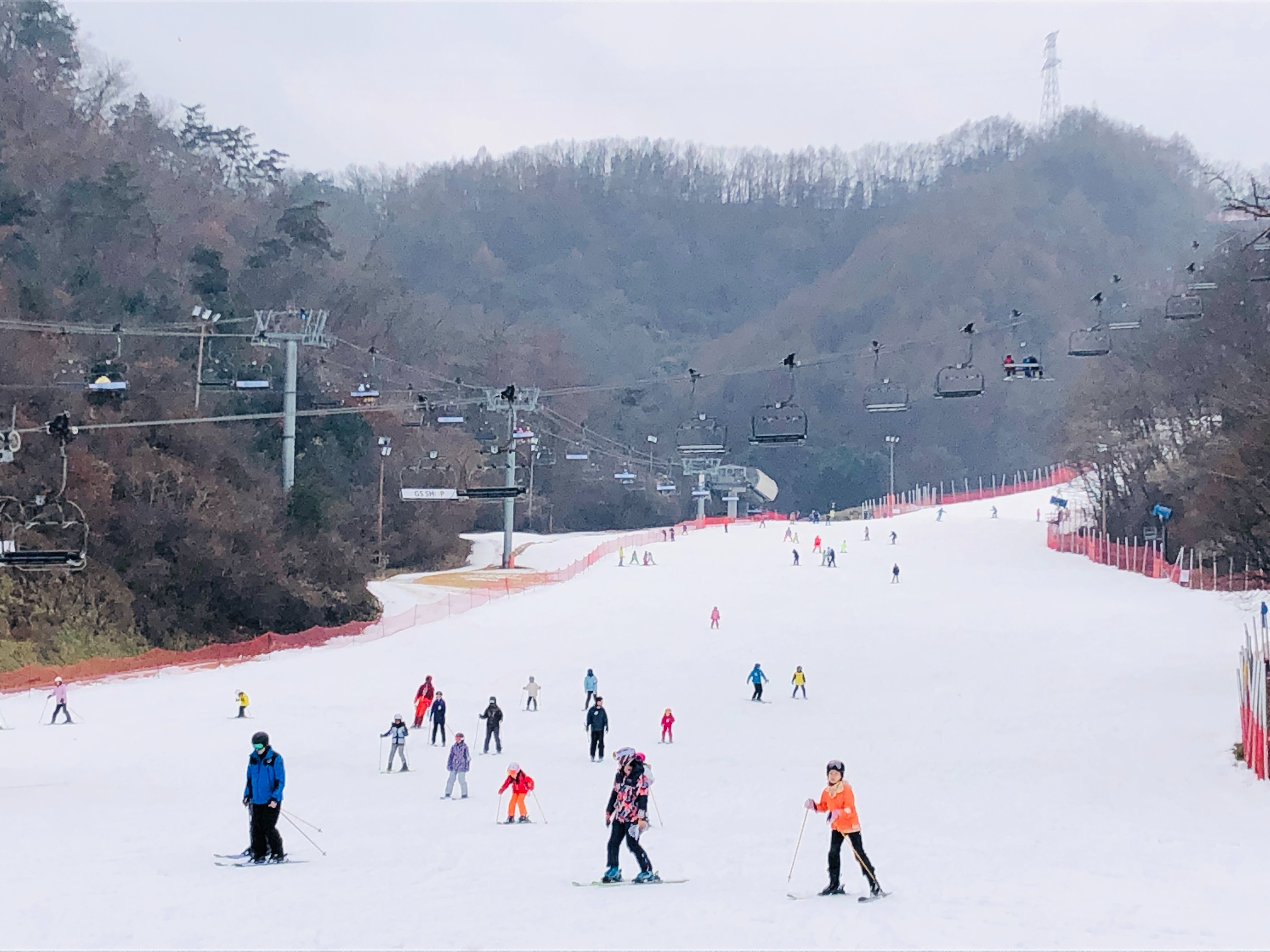 南怡島・エリシアン江村スキー場 ・アチムゴヨ樹木園 日帰りツアー（江原道）