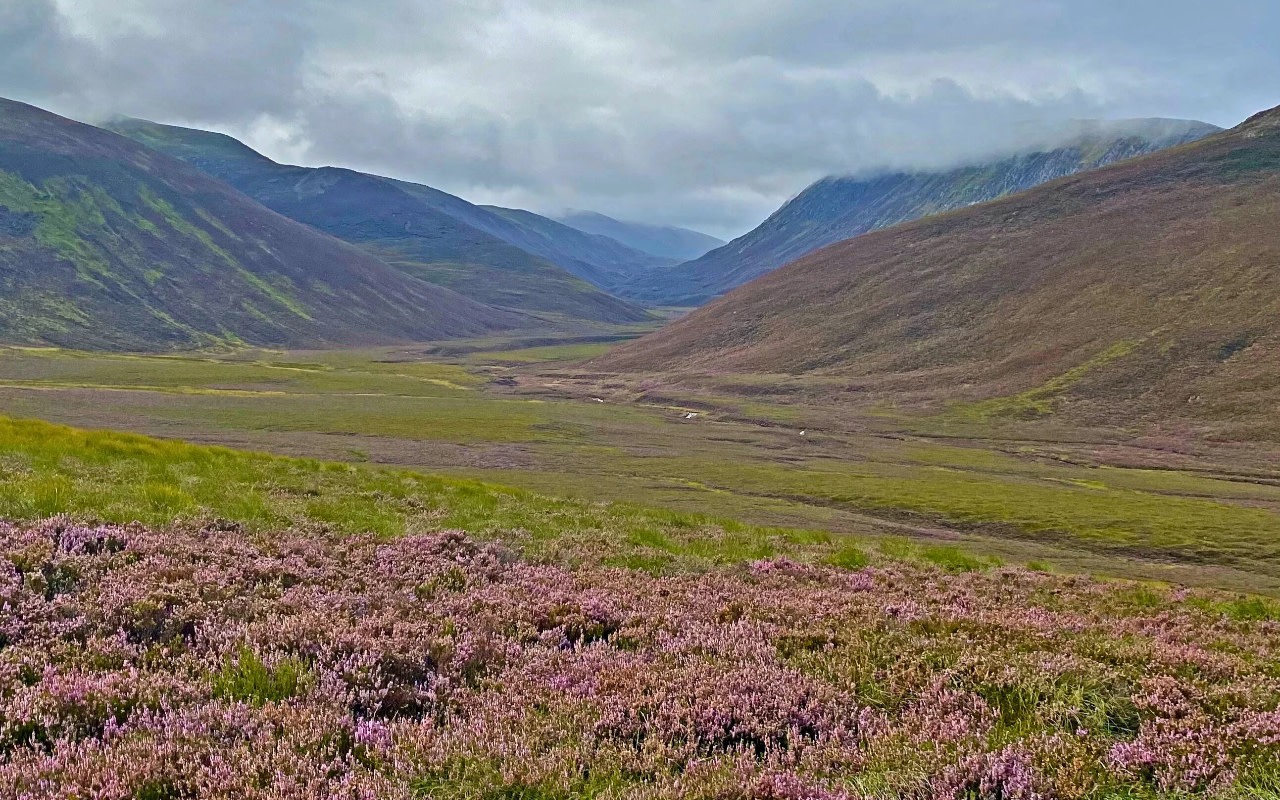 Western Cairngorms and Aviemore Full-Day Coach Tour from Inverness