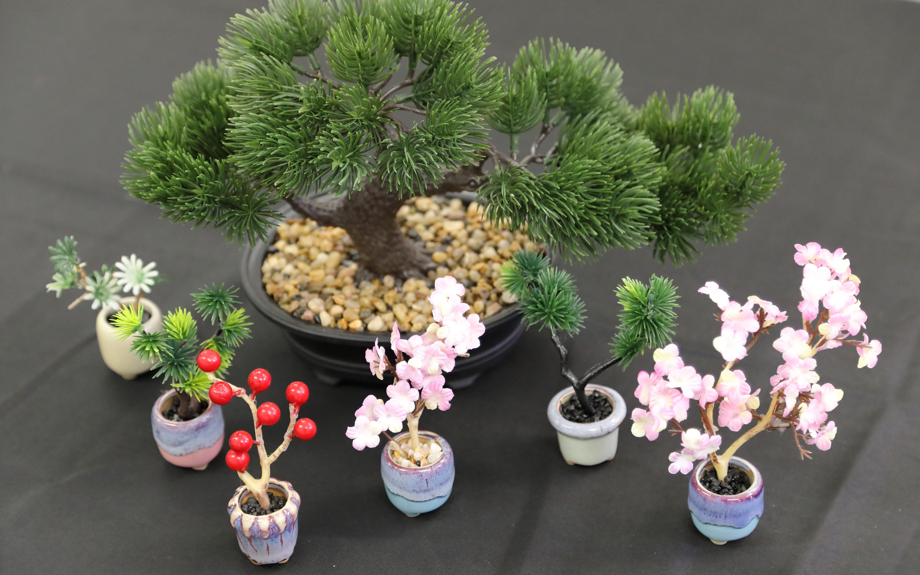 Create Your Own Original Bonsai