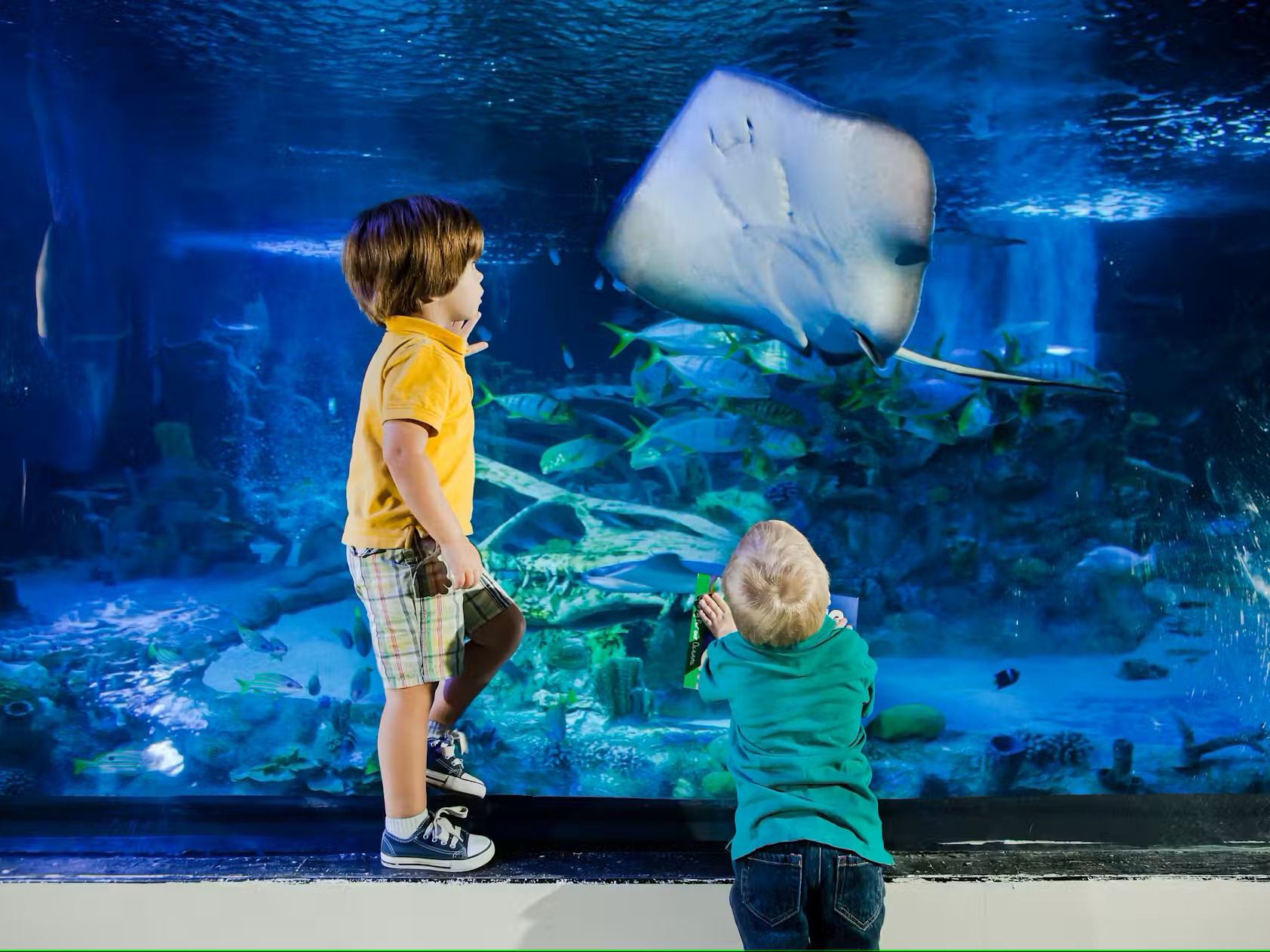 SEA LIFE San Antonio Ticket