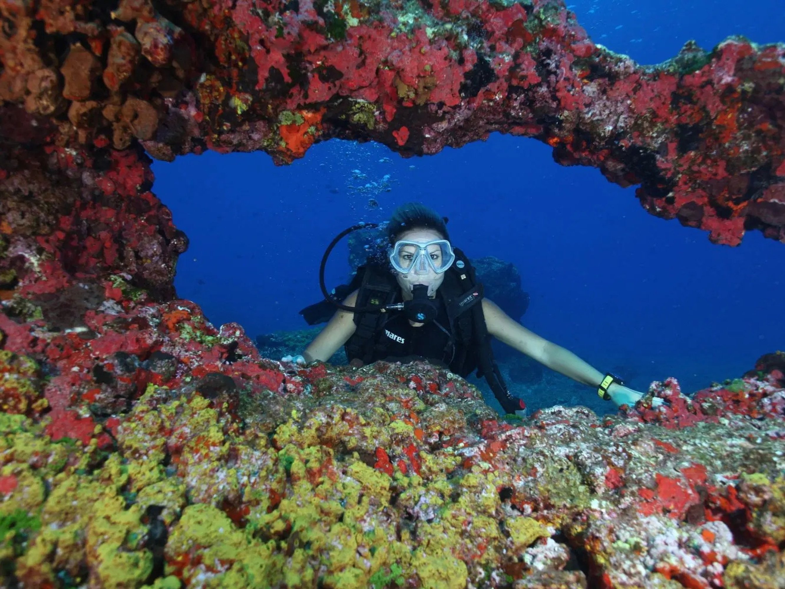 First breath underwater—peaceful silence and weightlessness calm your curious soul