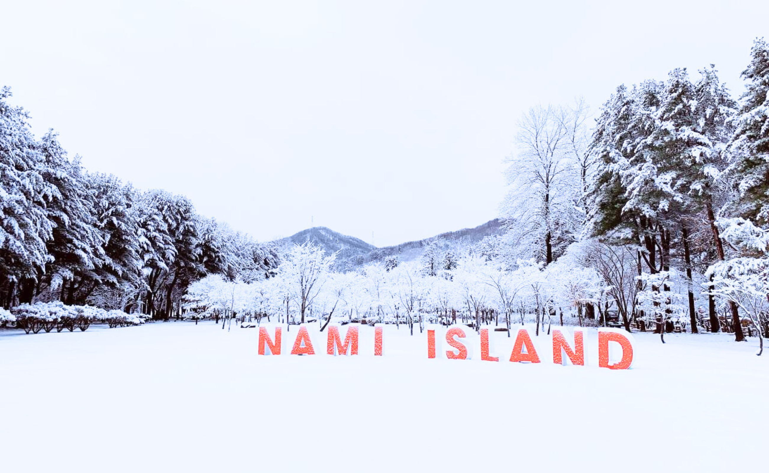 Остров Нами / Петит Франс & Итальянская деревня / Тур на рельсовом велосипеде в Ганчхоне